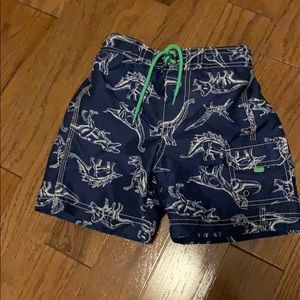blue dinosaur swim trunks